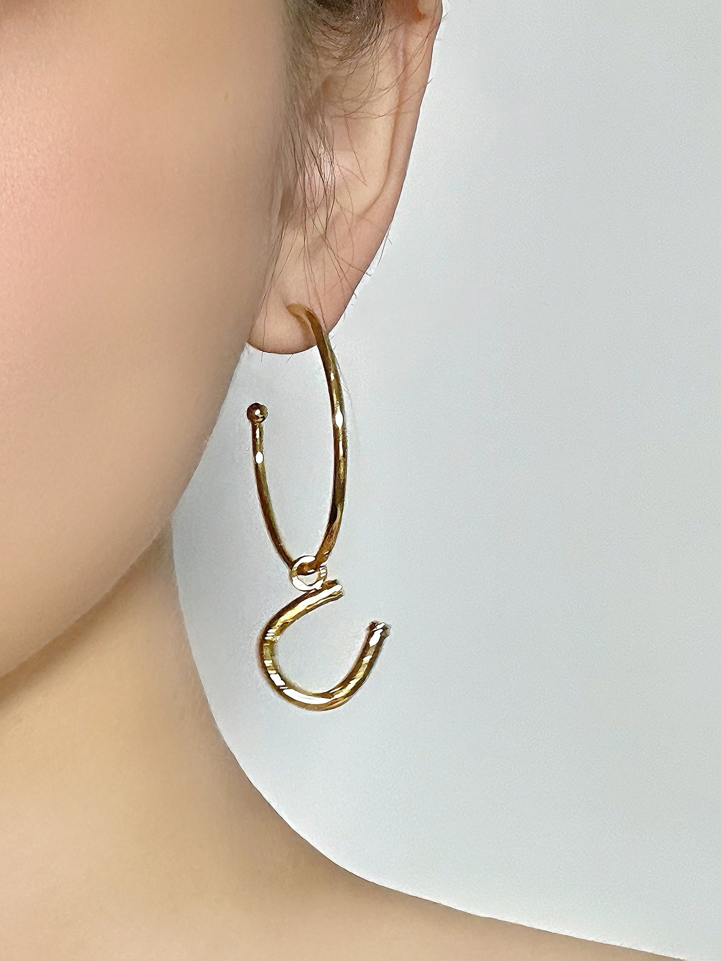 Bold AB Design Horse & Horseshoe Hoop Earrings – Gold-Plated Copper Artistic Statement Pair